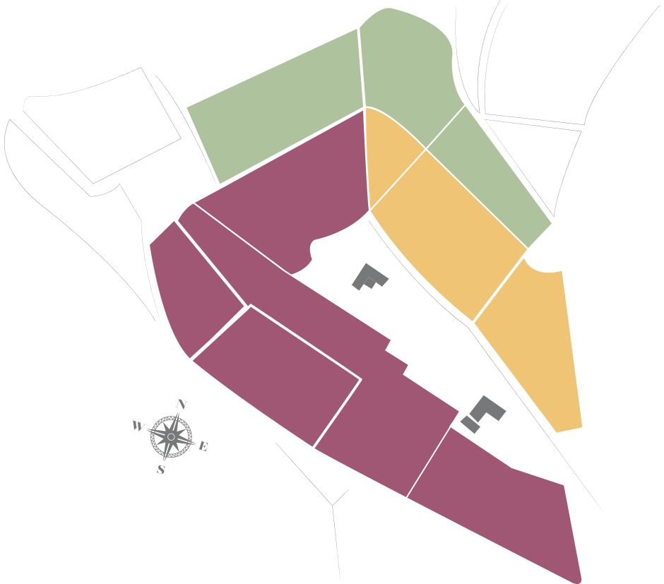 Mappa dei vigneti