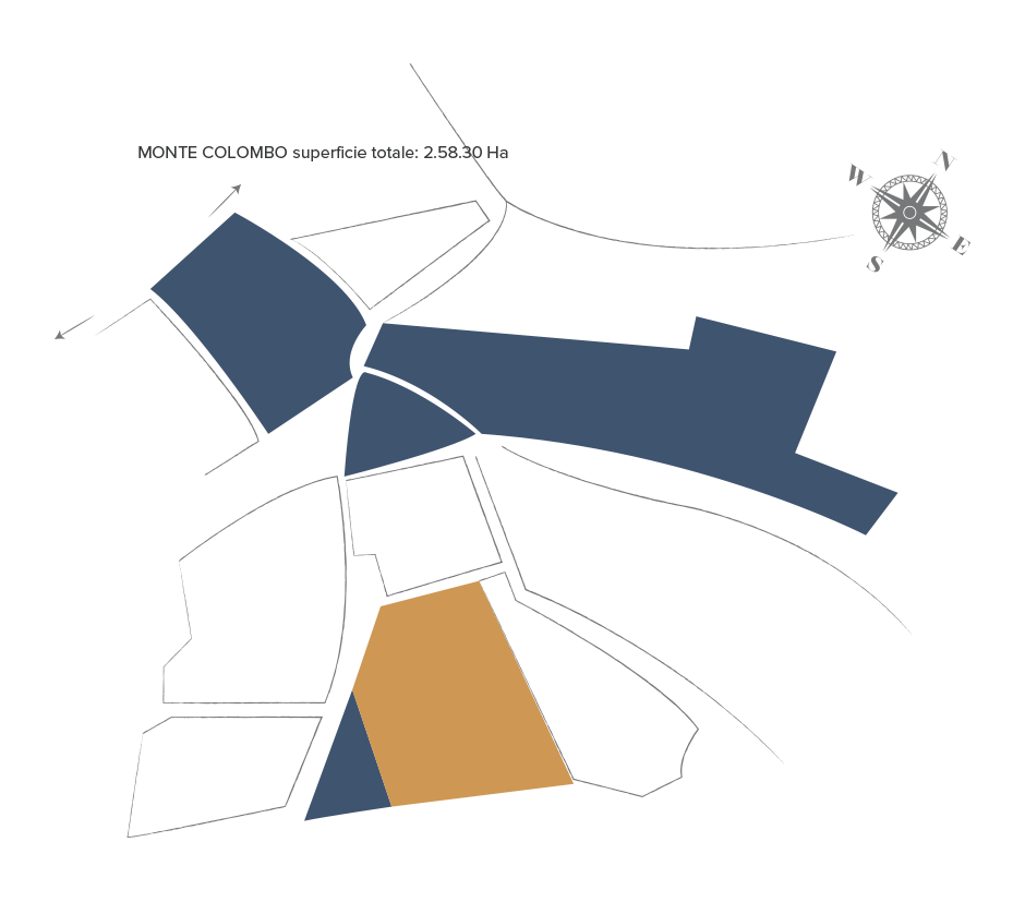 Mappa dei vigneti