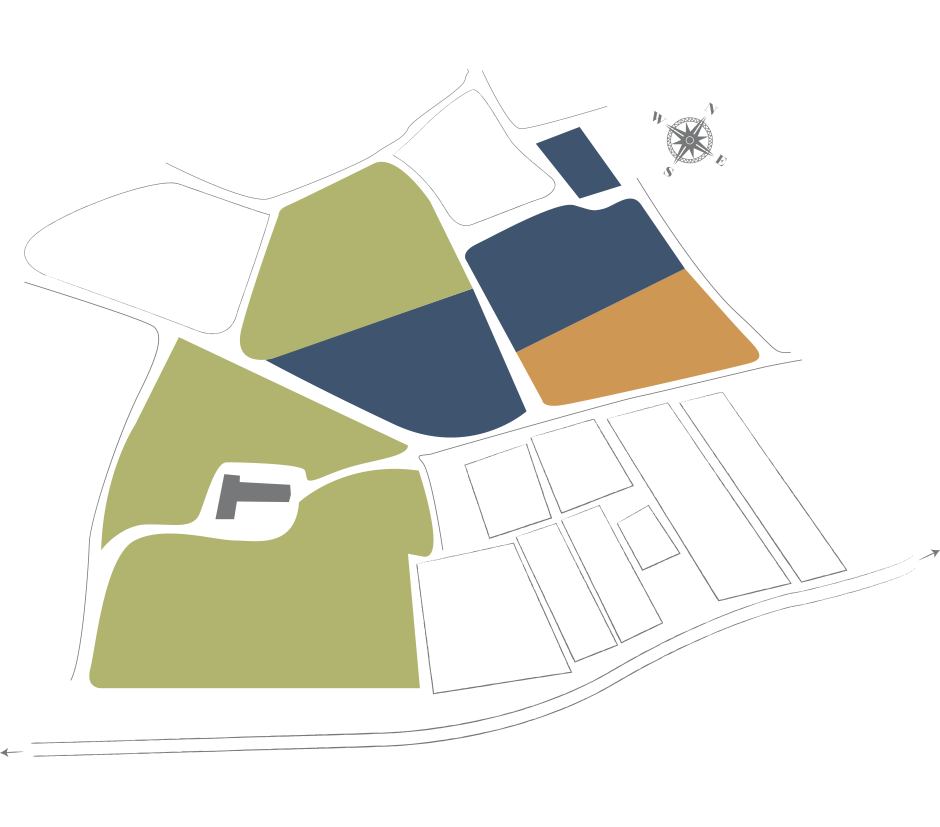 Mappa dei vigneti