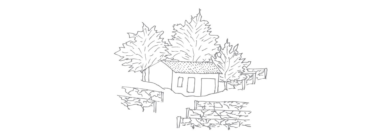 Illustrazione Monte Colombo