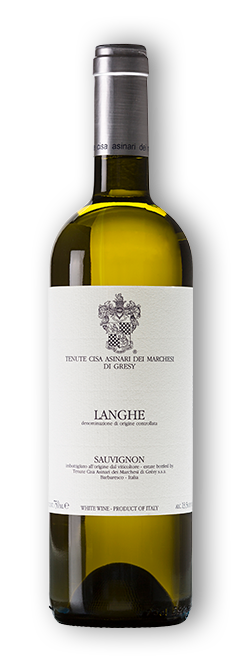 Sauvignon Langhe Doc